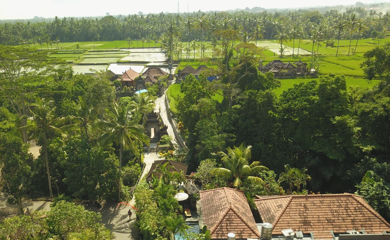 Villa Alam Surya Ubud Buitenkant foto